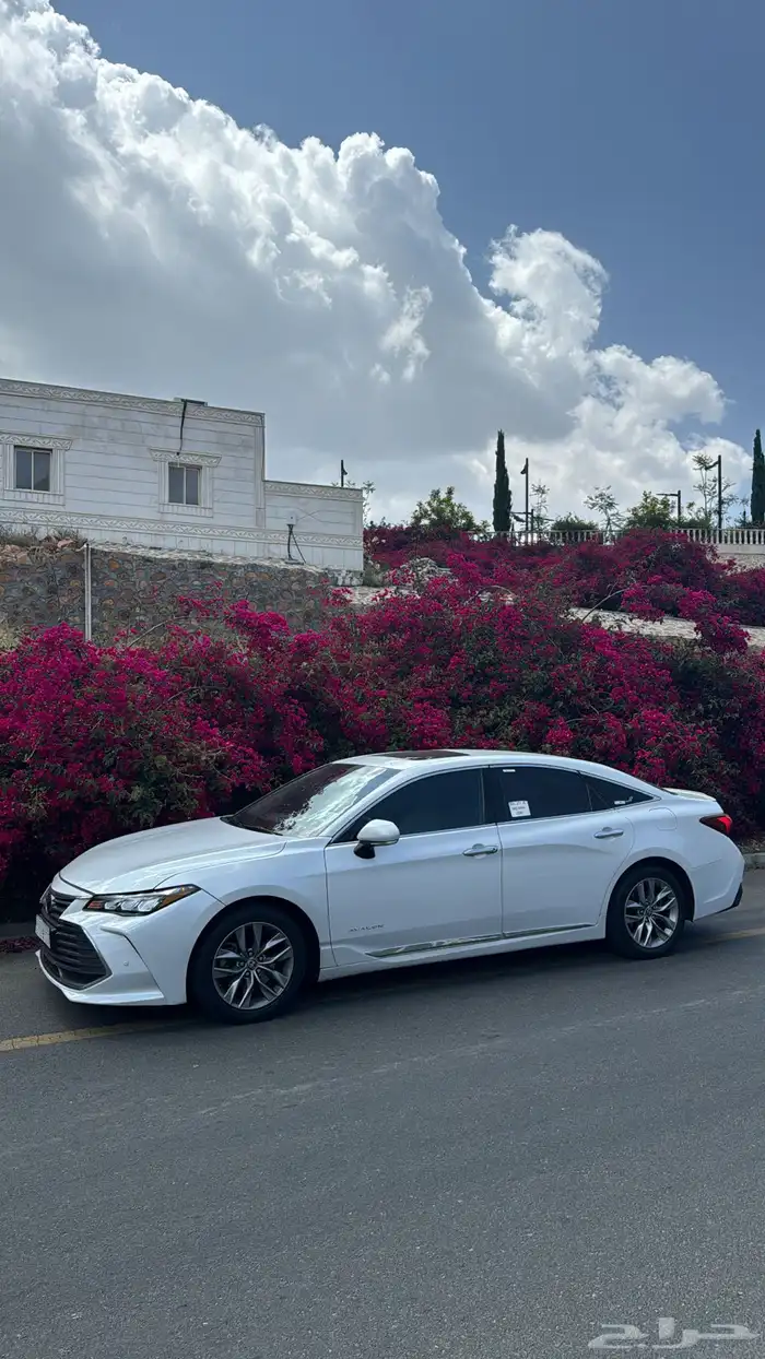 افالون 22 ليمتد 8