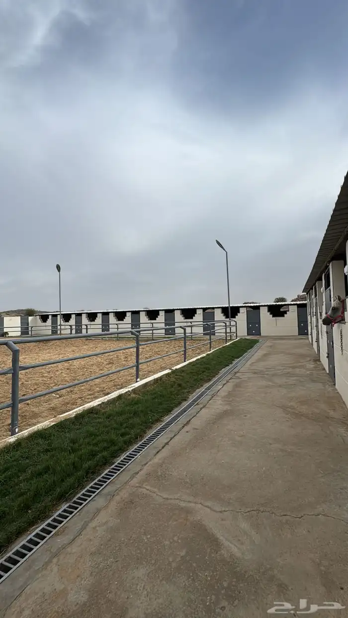 مربط السحابه 2