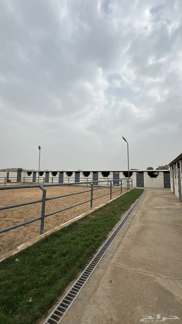 مربط السحابه 0