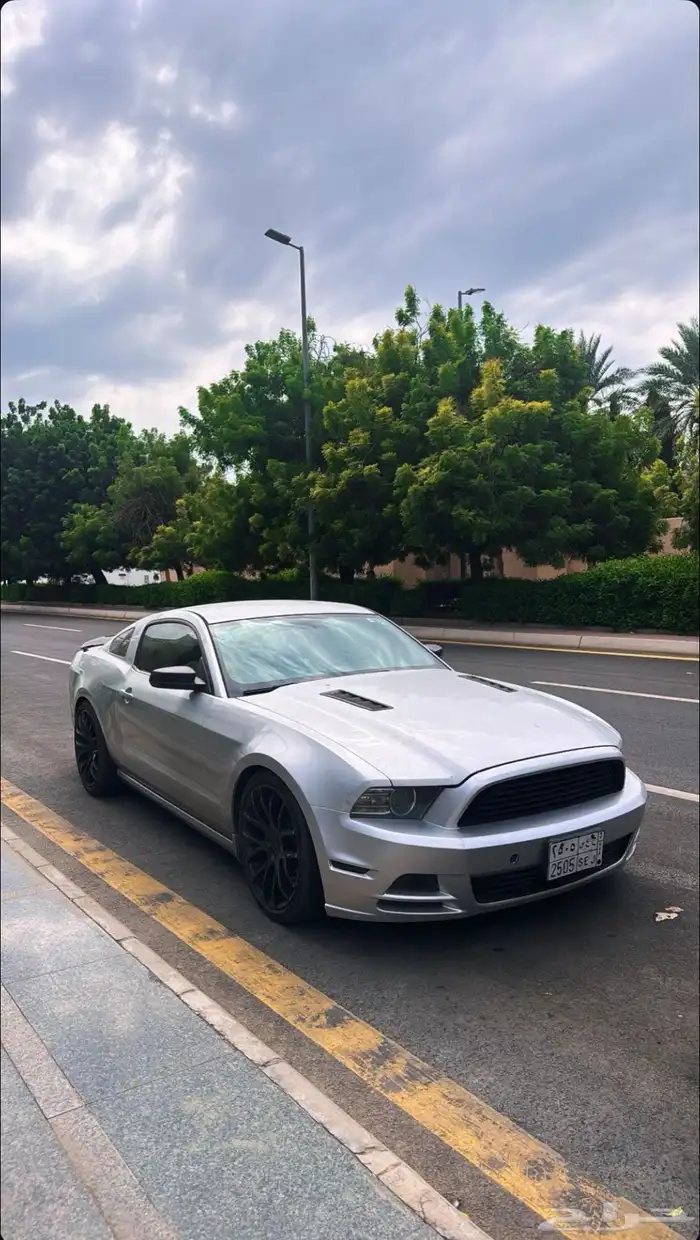 موستنق 2014 V6 قير عادي 0