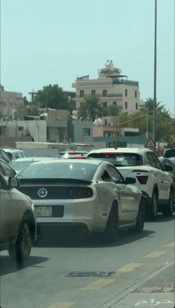 موستنق 2014 V6 قير عادي 5