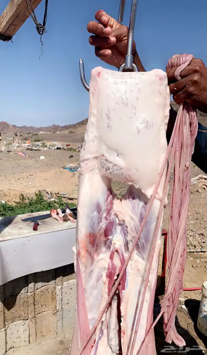 سواكن حمري فل شحم 8