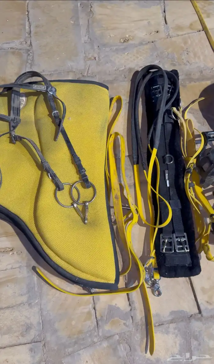 للبيع سرج قدرة وتحمل مستخدم موسم فقط 1