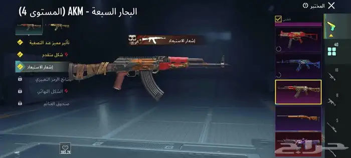 حساب بوبجي فخم   Premium PUBG account 19