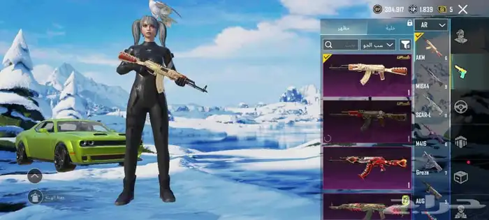 حساب بوبجي فخم   Premium PUBG account 10