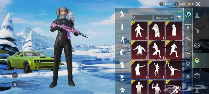 حساب بوبجي فخم   Premium PUBG account 14