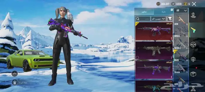 حساب بوبجي فخم   Premium PUBG account 8