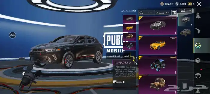 حساب بوبجي فخم   Premium PUBG account 12