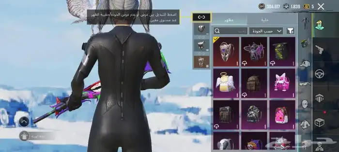 حساب بوبجي فخم   Premium PUBG account 5