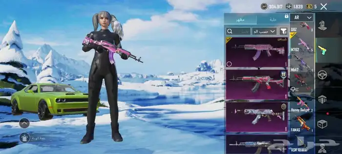 حساب بوبجي فخم   Premium PUBG account 13