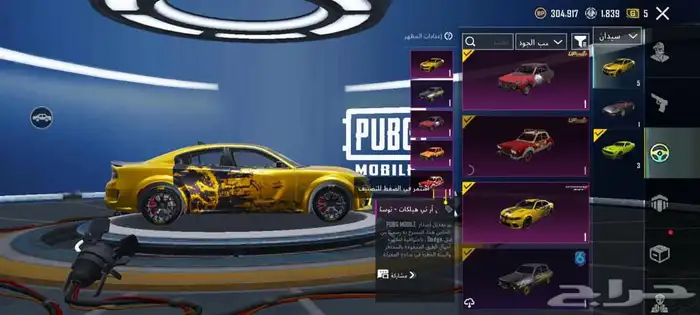 حساب بوبجي فخم   Premium PUBG account 11