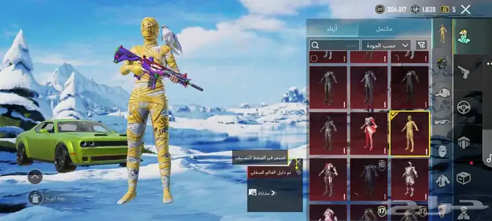 حساب بوبجي فخم   Premium PUBG account 0