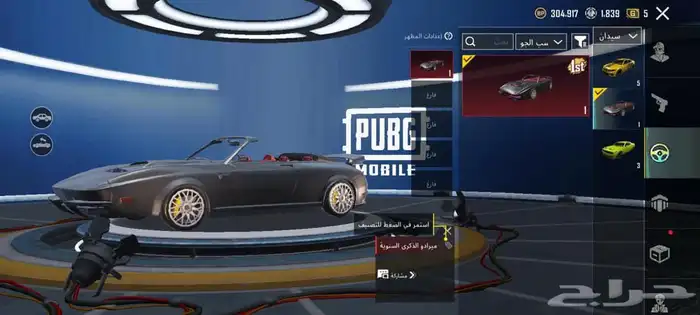 حساب بوبجي فخم   Premium PUBG account 16