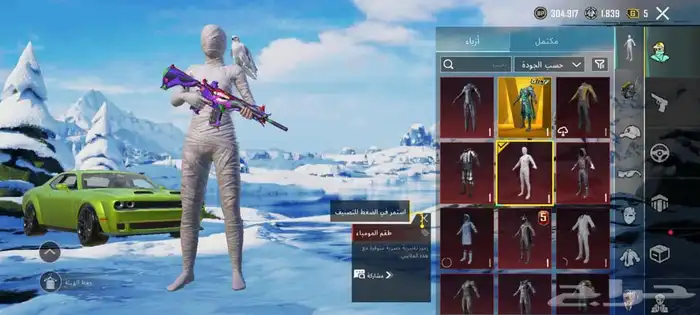 حساب بوبجي فخم   Premium PUBG account 1