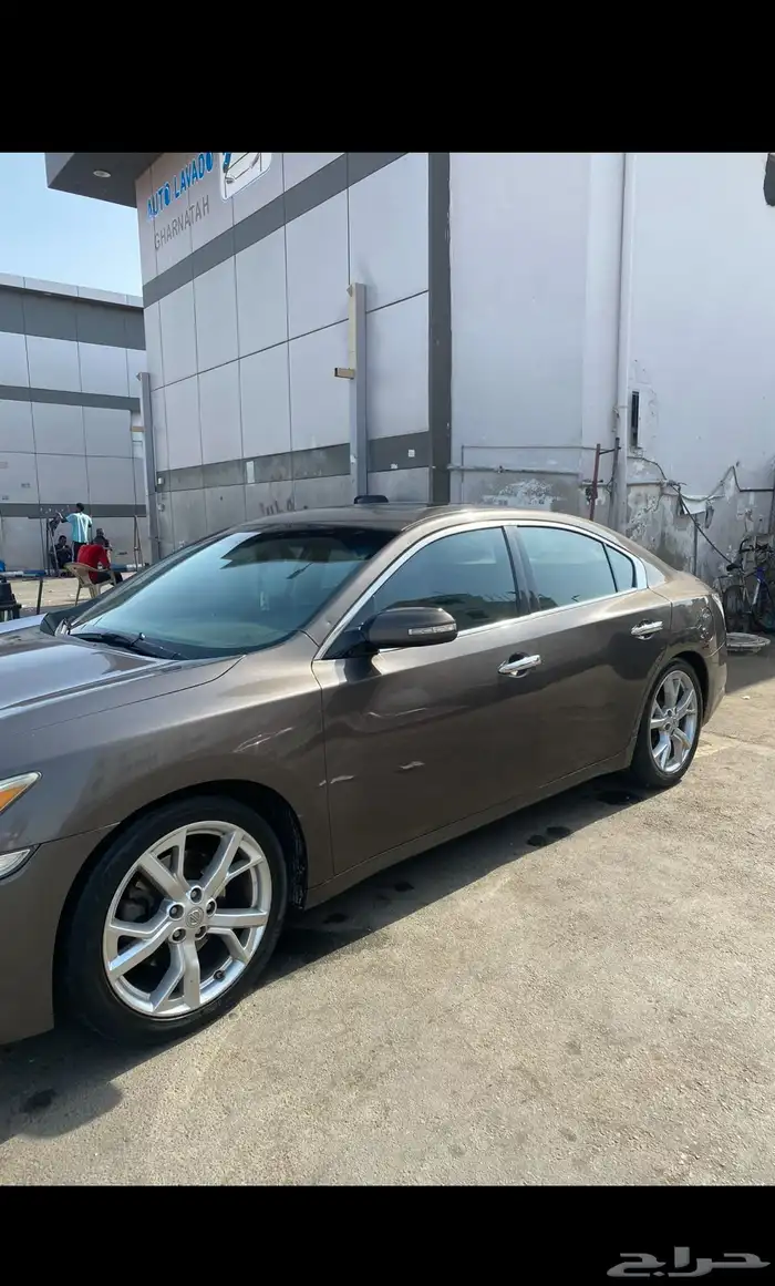 نيسان ماكسيما 2013 نظيف 1