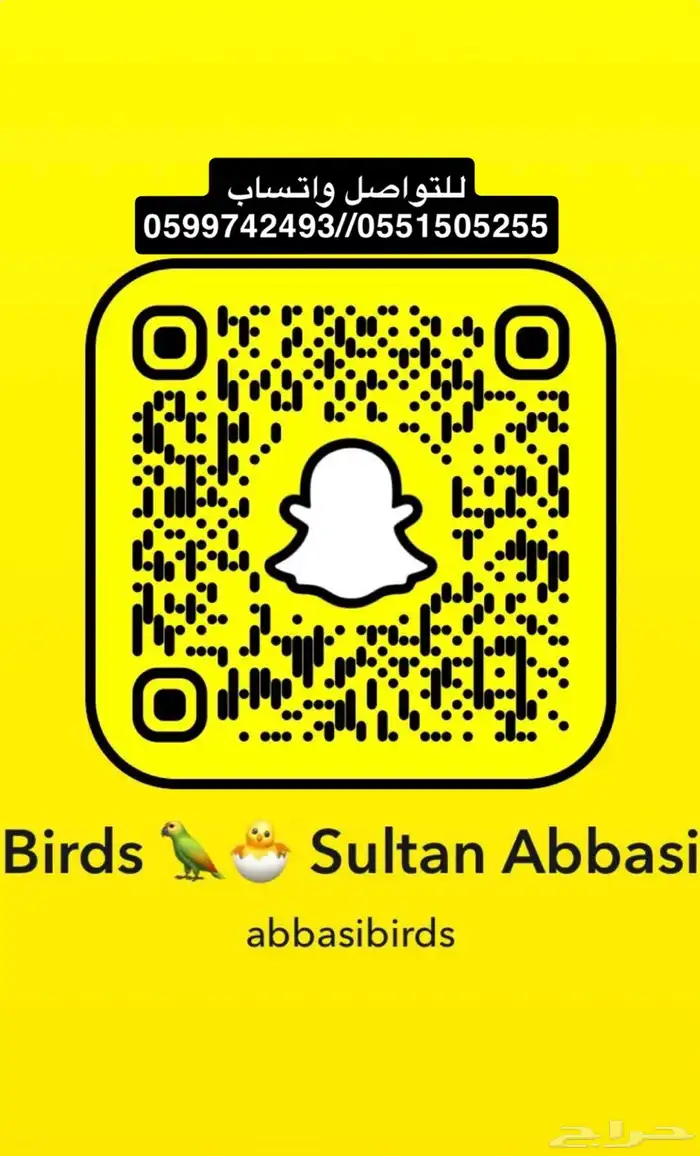 اجواز كنيورات صن شيك   مون شيك   كريمسون 1