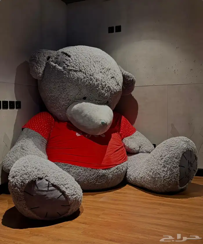 دب عملاق جديد متوفر 2 حبه 0