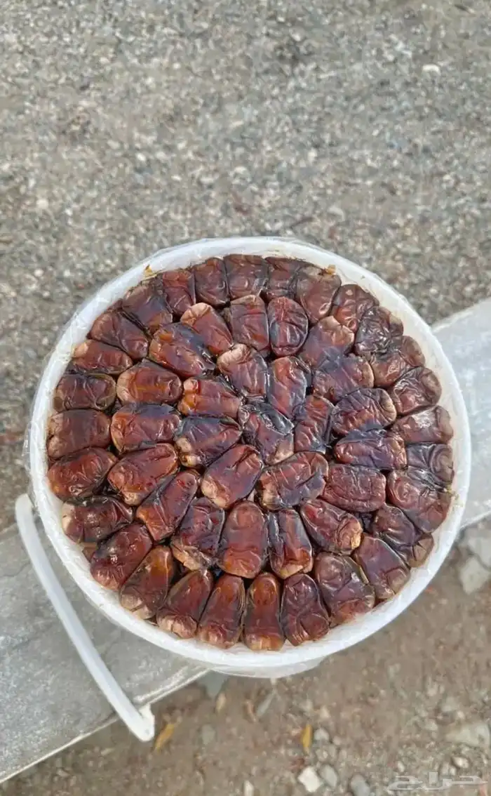 تمر برني و كعيمر فاخر درجه اولى 0