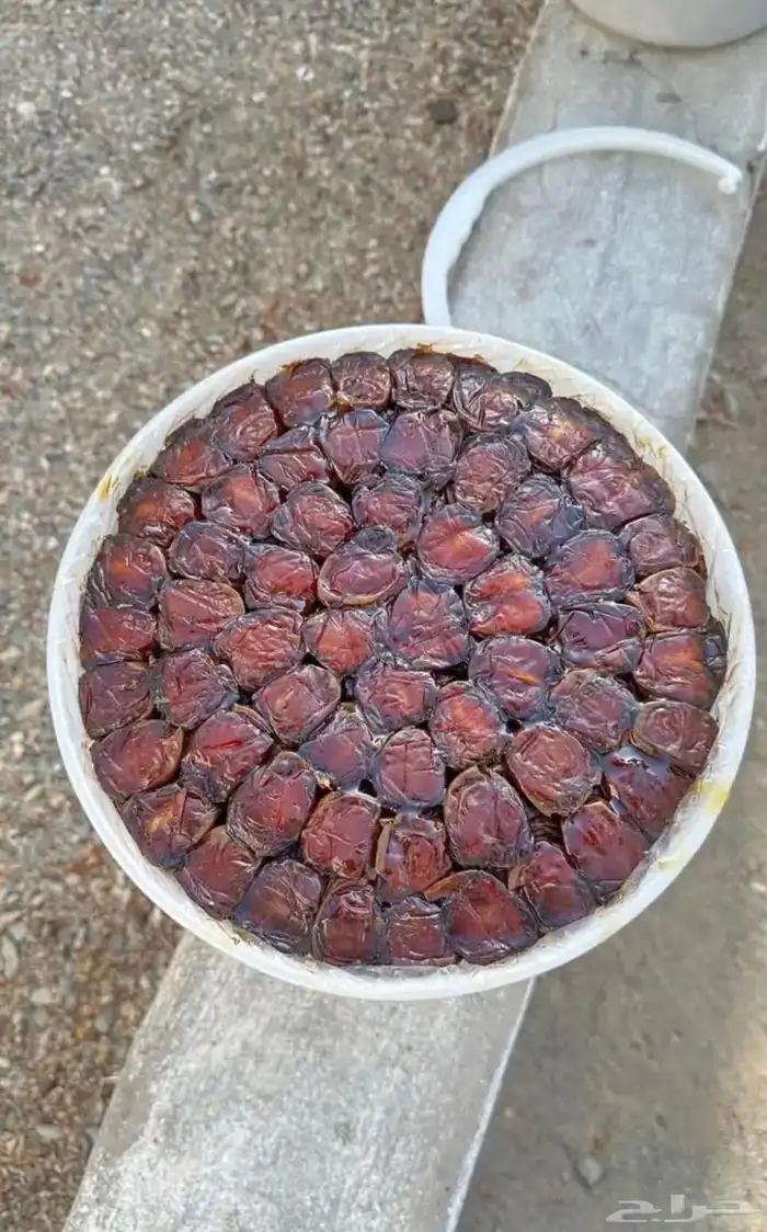 تمر برني و كعيمر فاخر درجه اولى 1