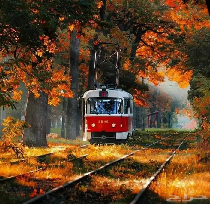 مطلوب قطعه في العرفاء 0