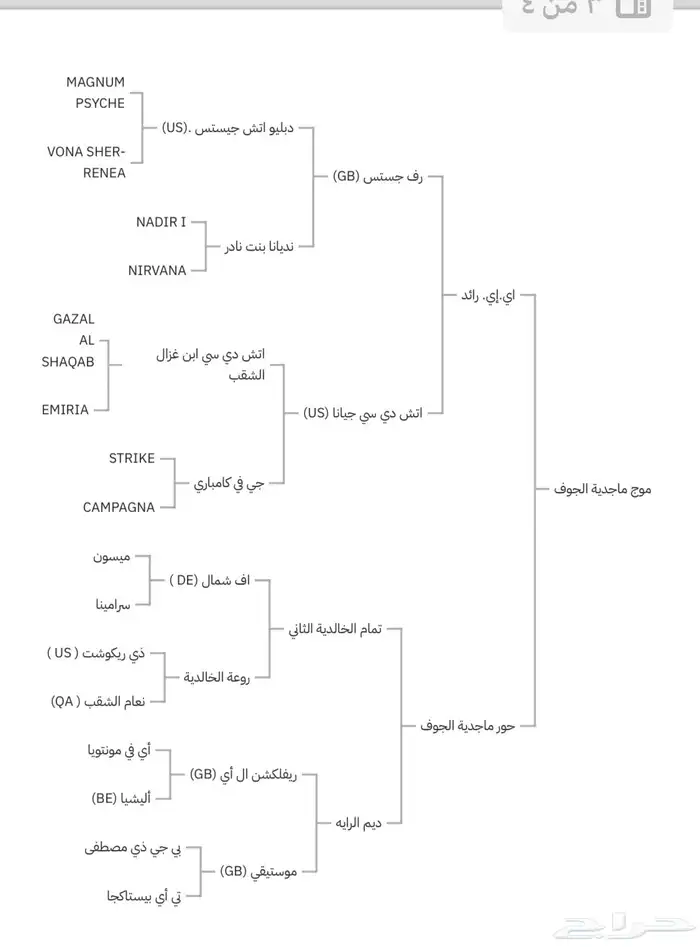 مهره جمال للبيع والبيع لأخر سوم 8