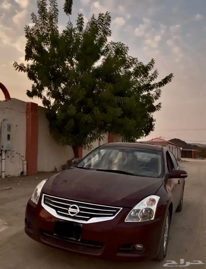 للبيع التيما 2011 7