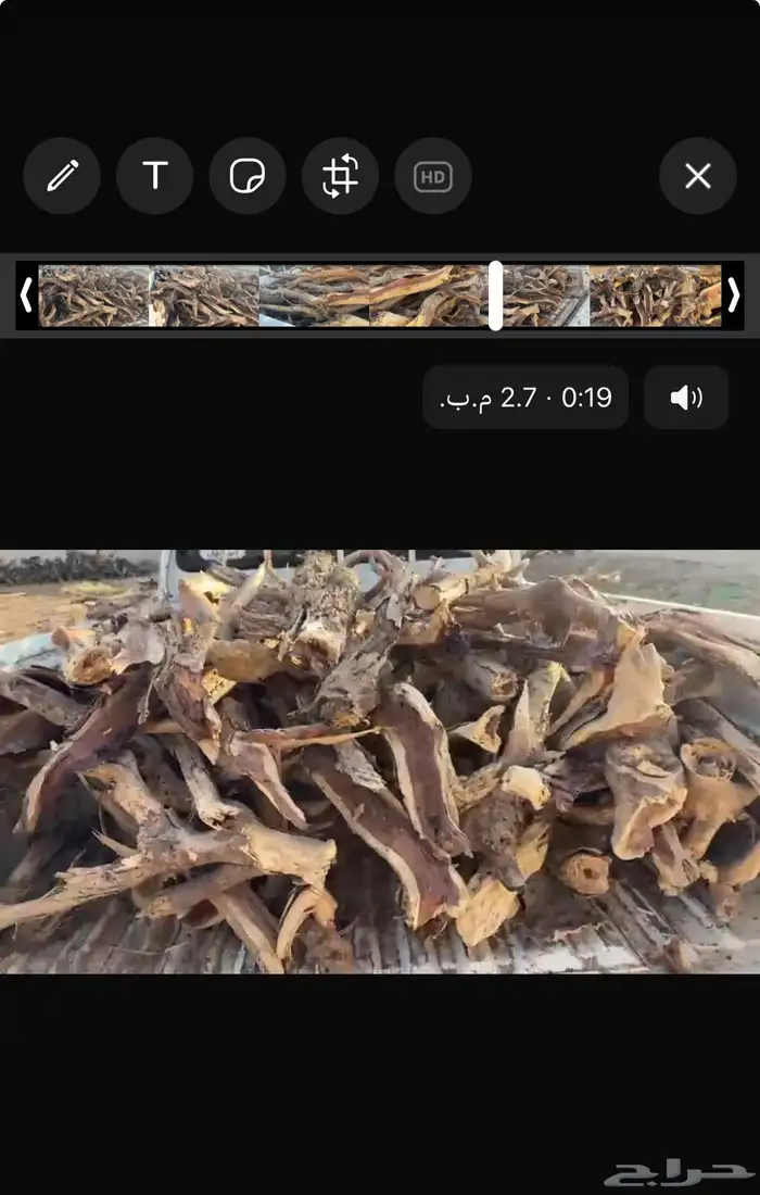 سمر مسحه غماره 1