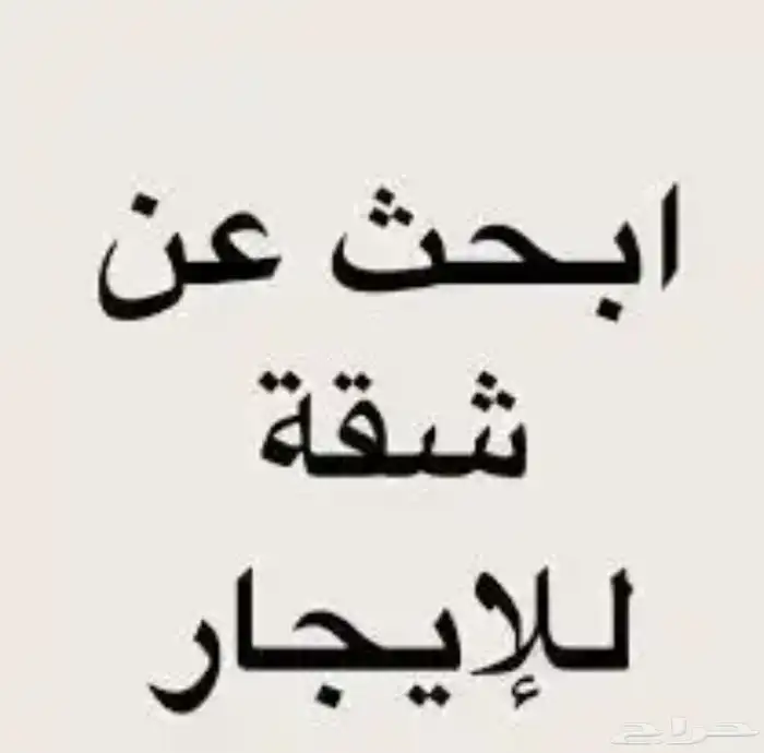 مطلوب شقة للايجار 0