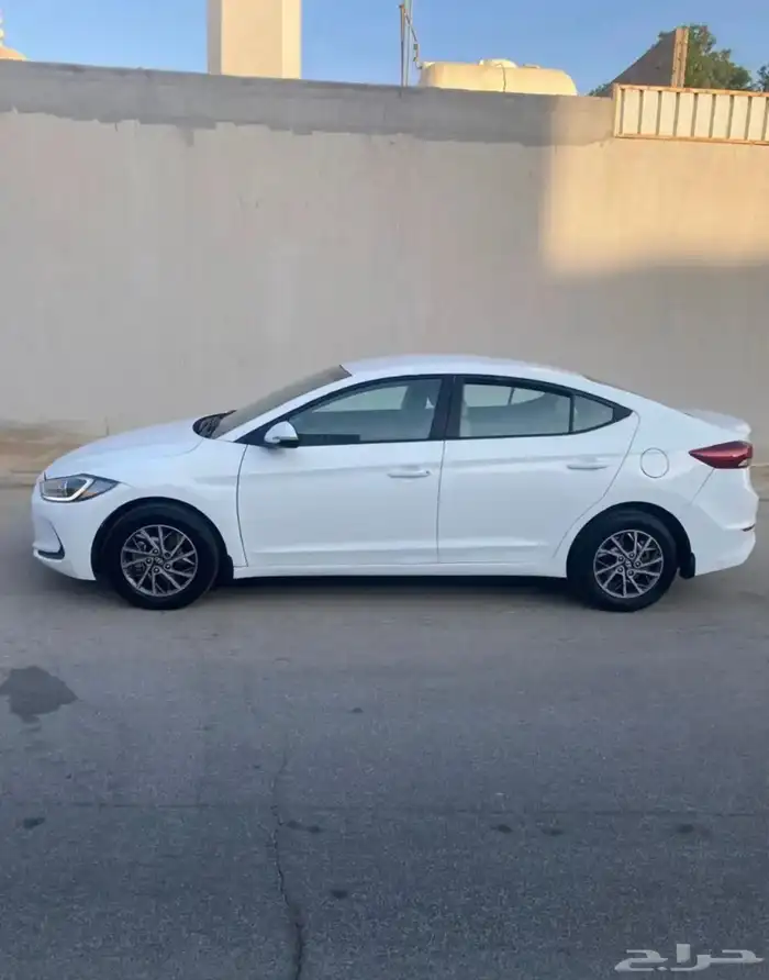 النترا 2018 نص فل 7