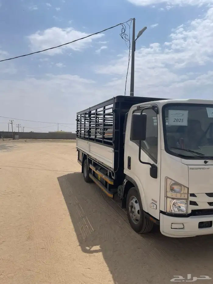 دينا2025 صندوق اصفار للإيجار 7