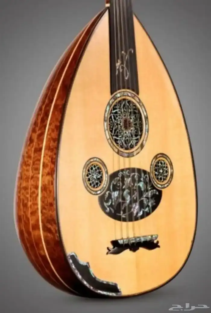 تعليم عزف عود اورق غناء 0