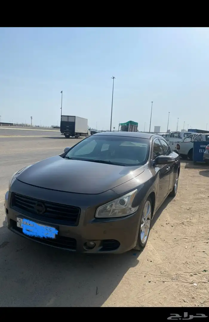 نيسان ماكسيما 2013 نظيف 0