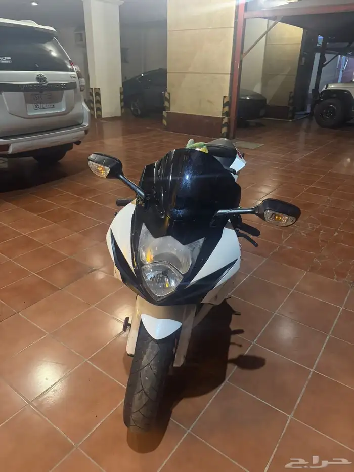 دباب ريس 2019 3