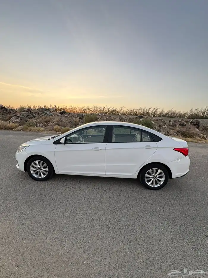 شيري اريزو 2023 2