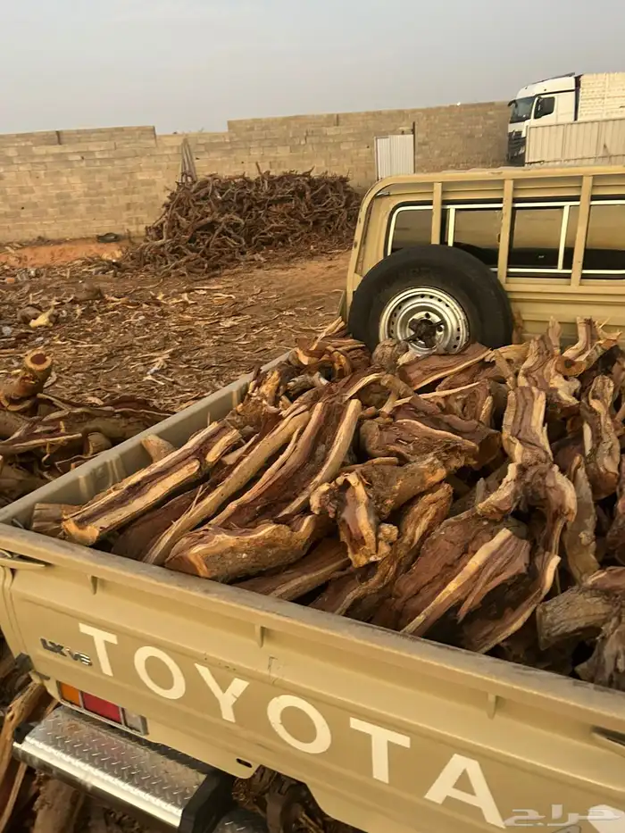 يابس على الشرط 0