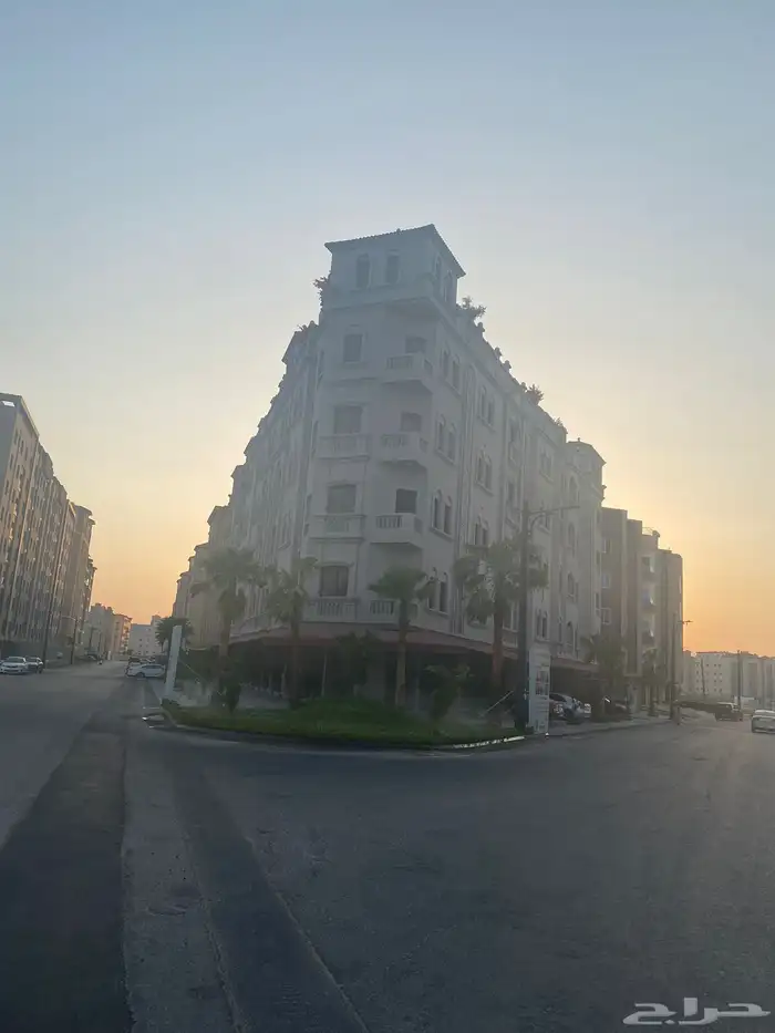 شقه للايجار في حي الحمراء 0