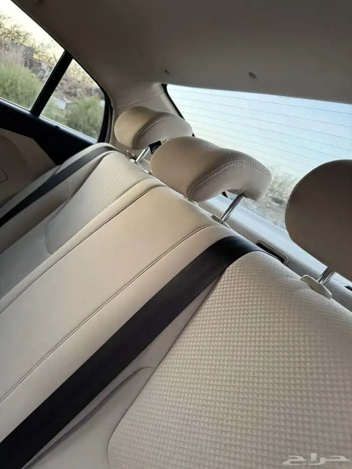 شيري اريزو 2023 9