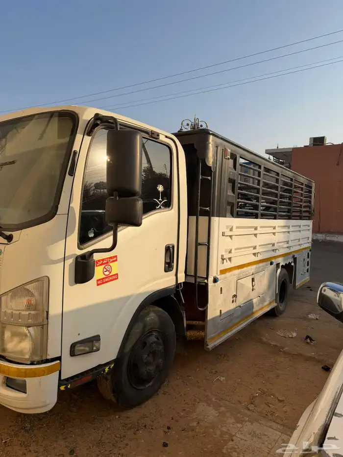 ديانه ايسوزو للبيع 6