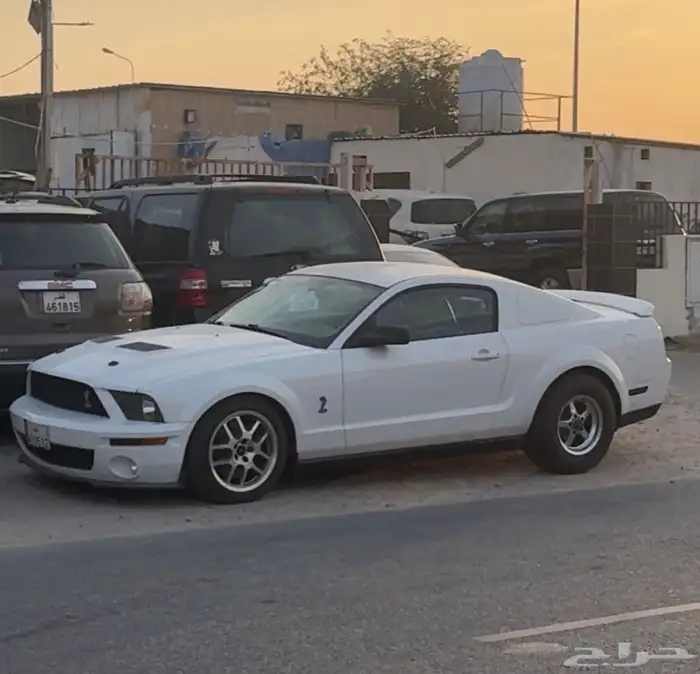 موستنق شيلبي جي تي 500 2