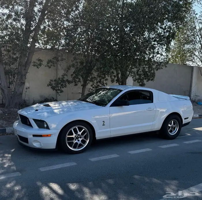 موستنق شيلبي جي تي 500 0