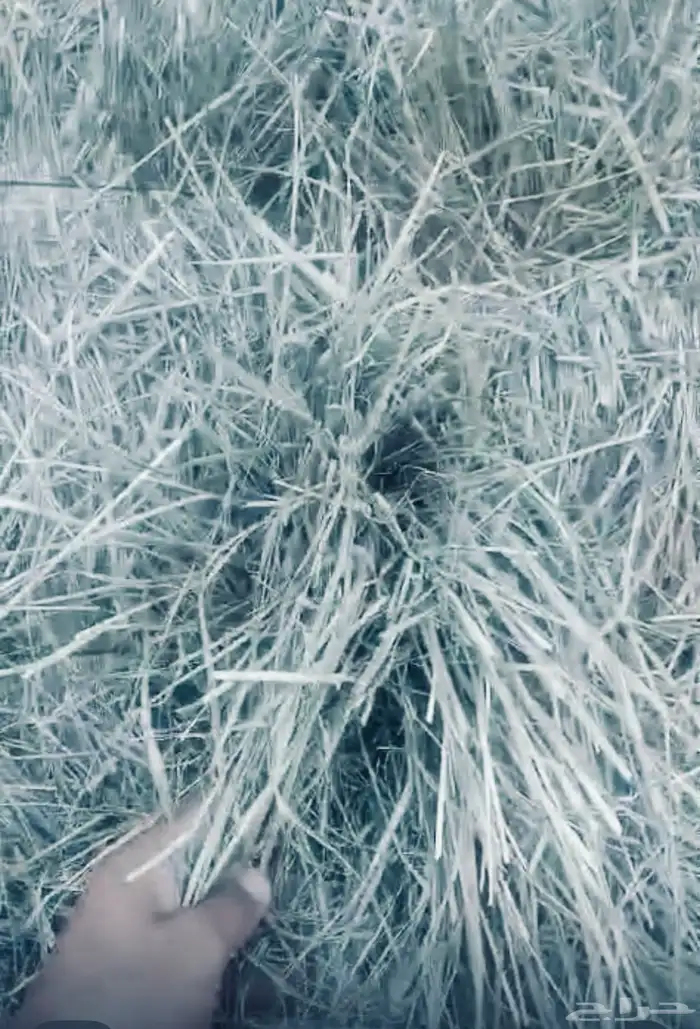 بيع اعلاف مع التوصيل برسيم رودس زريعا تبن مخلوط عجور ذره 7