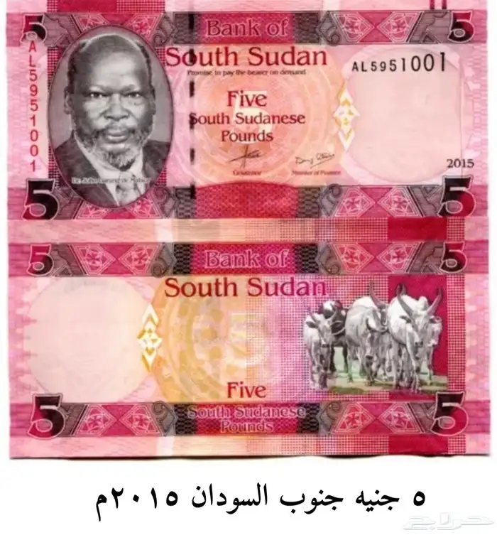 عملات اجنبية 11