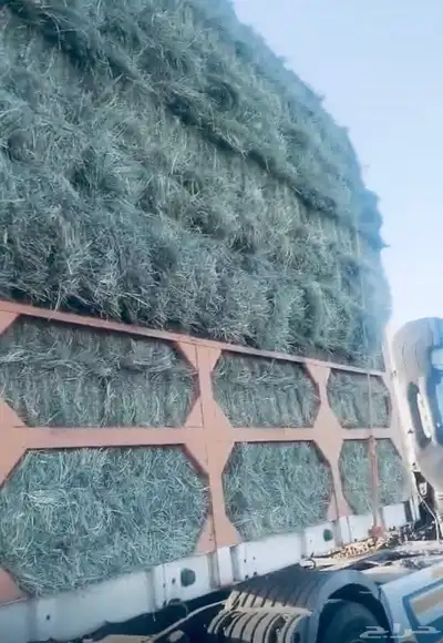 بيع اعلاف مع التوصيل برسيم رودس زريعا تبن مخلوط عجور ذره index