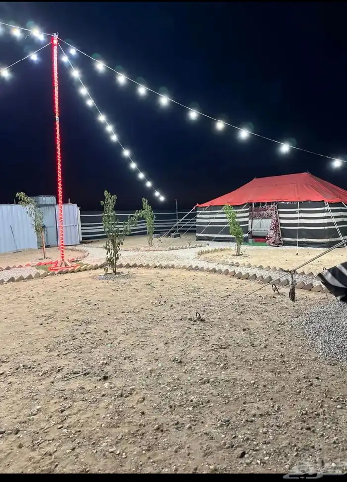 مخيم للايجار (مخيم السعف) 4