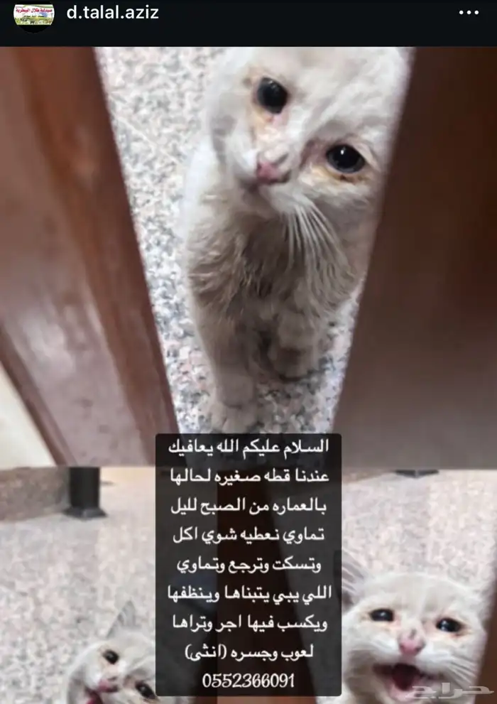 الحزن واضح بعيونه احد يكسب فيه اجر ويعالجه 0