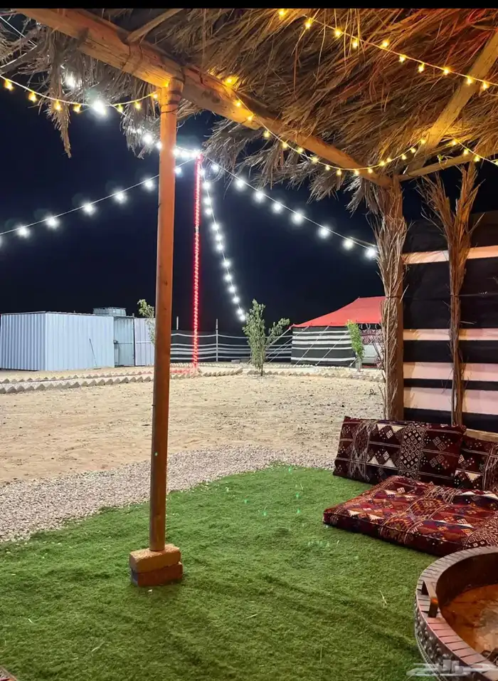 مخيم للايجار (مخيم السعف) 3