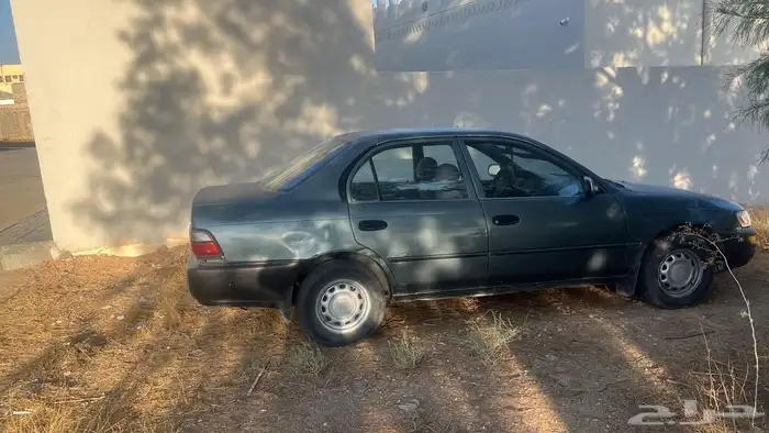 كورلا للبيع 1