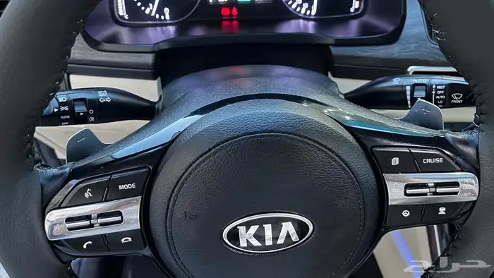 كيا كدنزا 2021 16