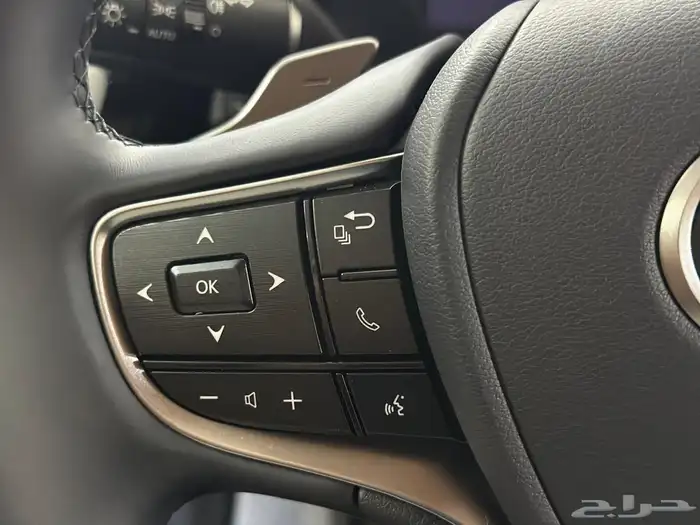 لكزس ES300 2025 ( تقسيط وكاش ) 20