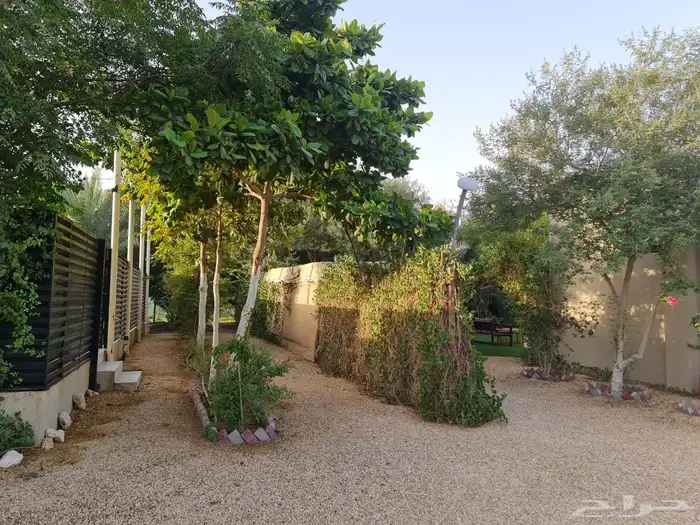 استراحه مزرعه للبيع الهياثم الرحمانيه العفجه الخرج الرفايع 17